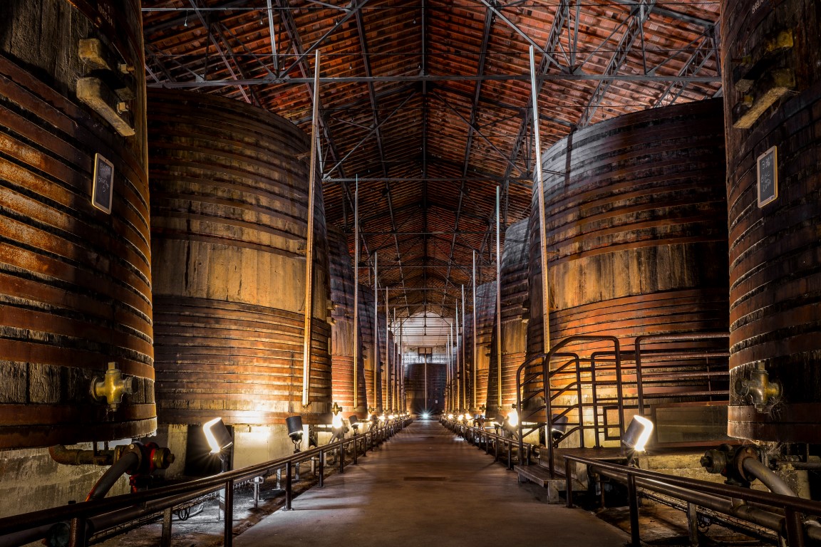 Visite de la Cave + Dégustation vins de Collioure et Banyuls