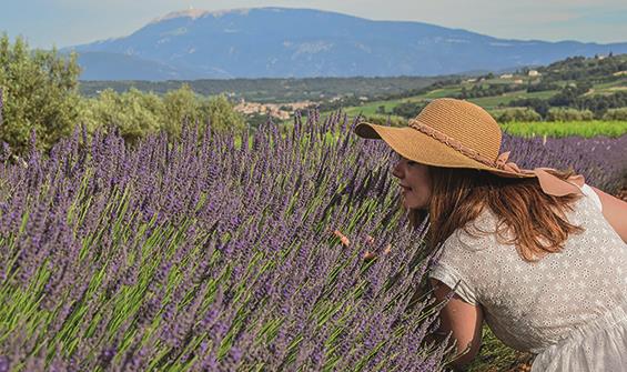 Séjour Plantes et Bien-Être en Baronnies Provençales
